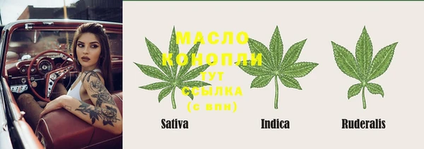 кокс Богородицк