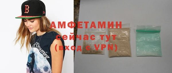 прущие грибы Сатка