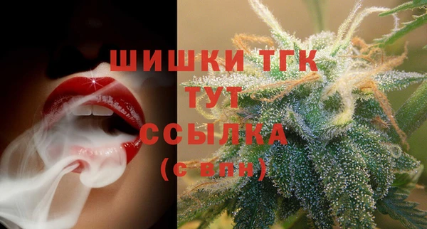 кокс Богородицк