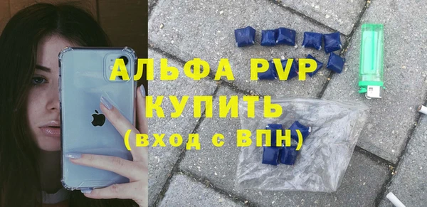 spice Богородск