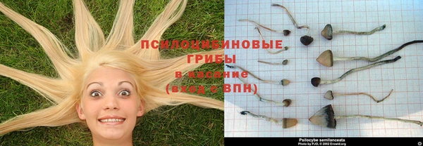 амфетамин Верея