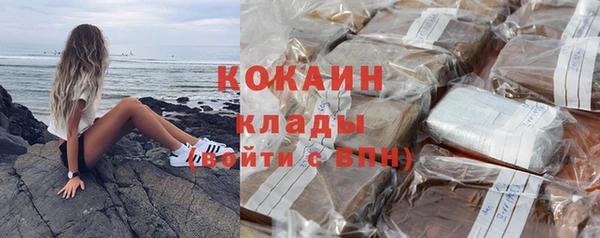 молекула духа Богданович