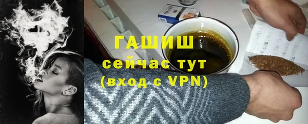 молекула духа Богданович