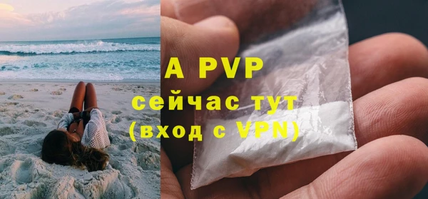 молекула духа Богданович
