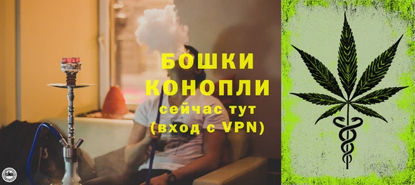 spice Богородск