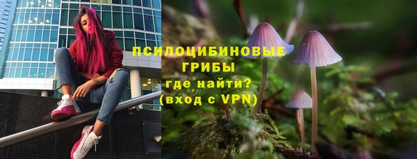 молекула духа Богданович